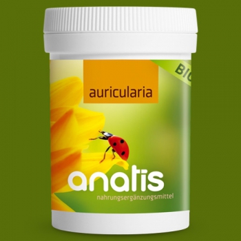 Auricularia Pilz-Extrakt 90